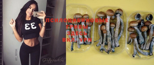 ГАЛЛЮЦИНОГЕННЫЕ ГРИБЫ Вязьма