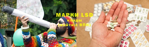 крисы Вязники