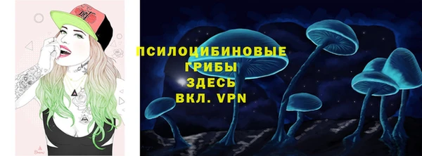 ГАЛЛЮЦИНОГЕННЫЕ ГРИБЫ Вязьма