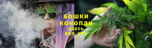 крисы Вязники