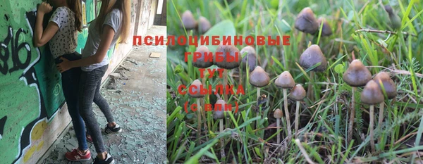 винт Володарск