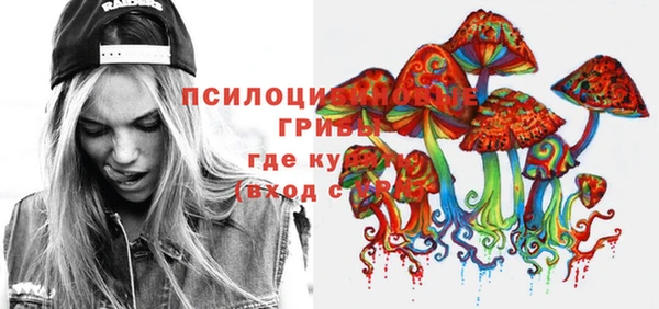 крисы Вязники