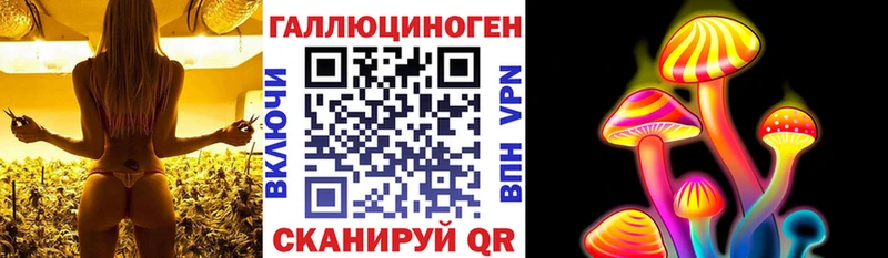 Псилоцибиновые грибы Magic Shrooms  Купить закладки  Шарья 