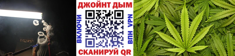 Шишки марихуана AK-47  Купить закладки  Шарья 